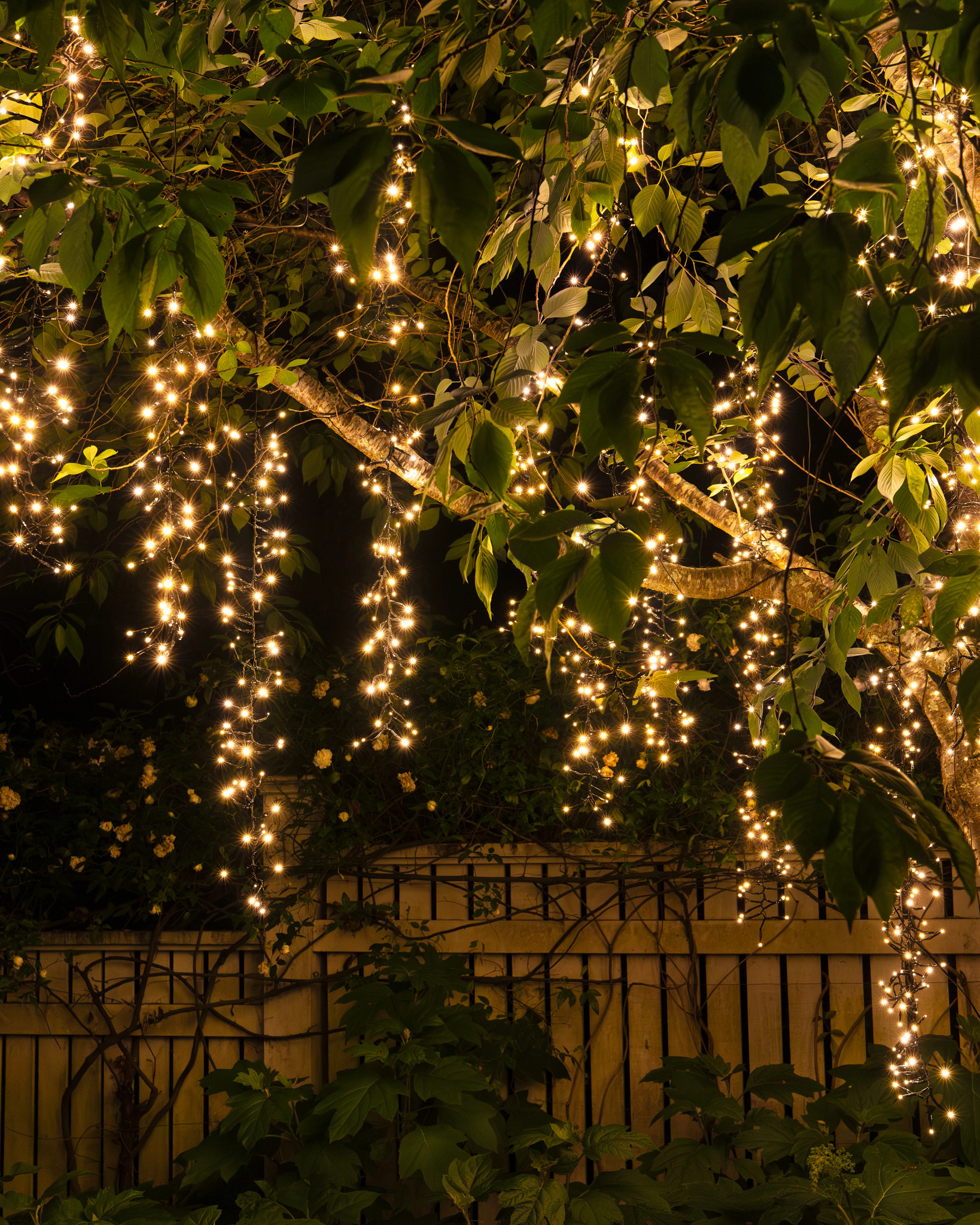 Warm White Outdoor Cascading Tree Light String