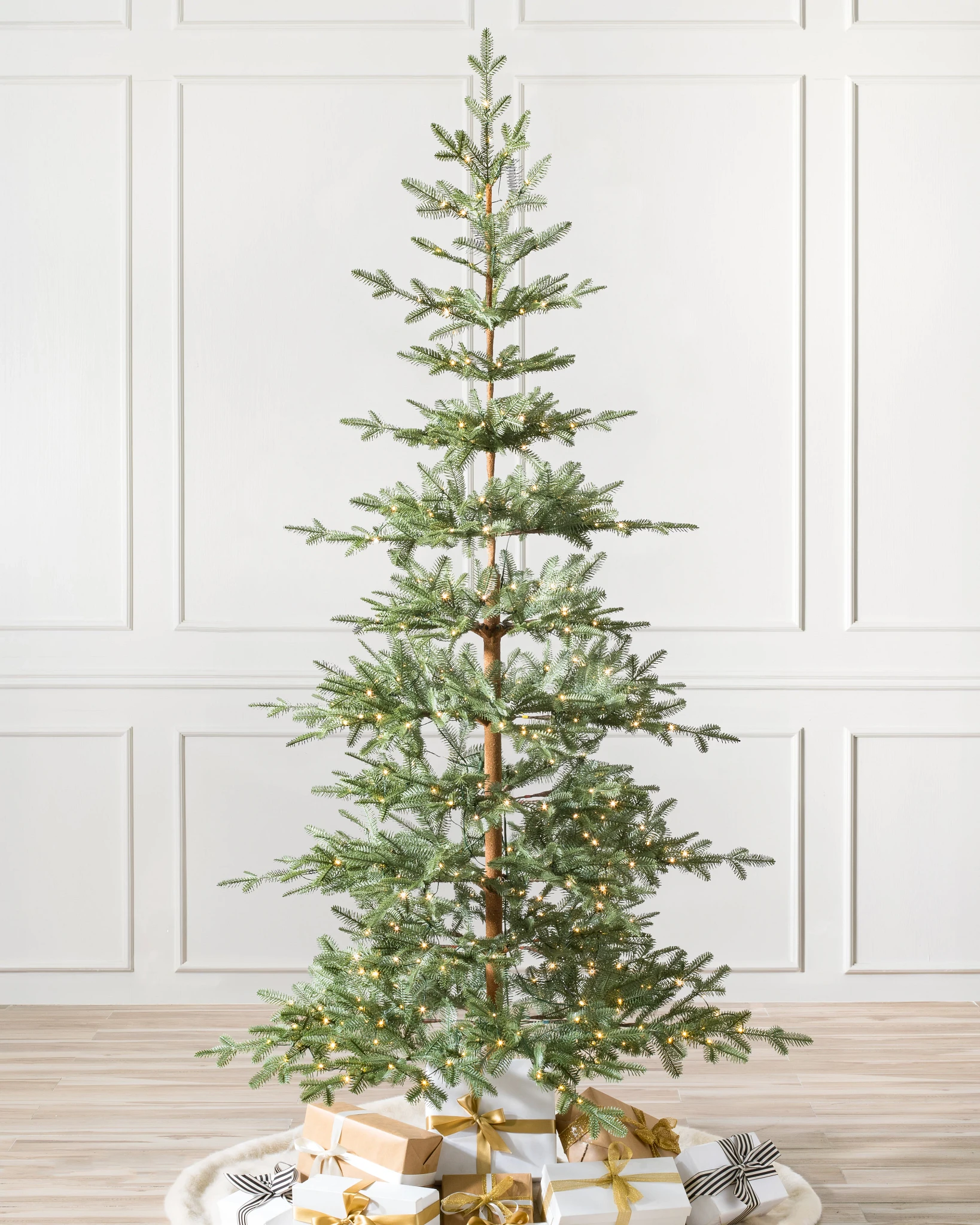 Alpine Balsam Fir