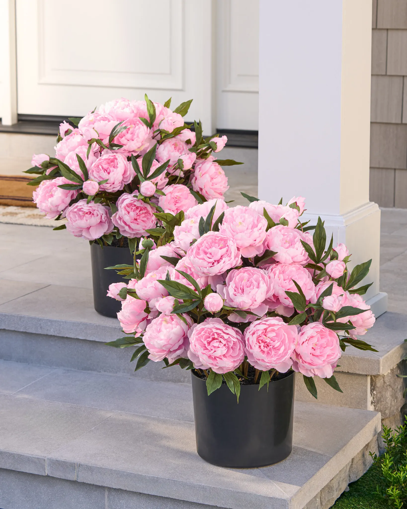 Outdoor Light Pink Peony Paradise Pot Filler
