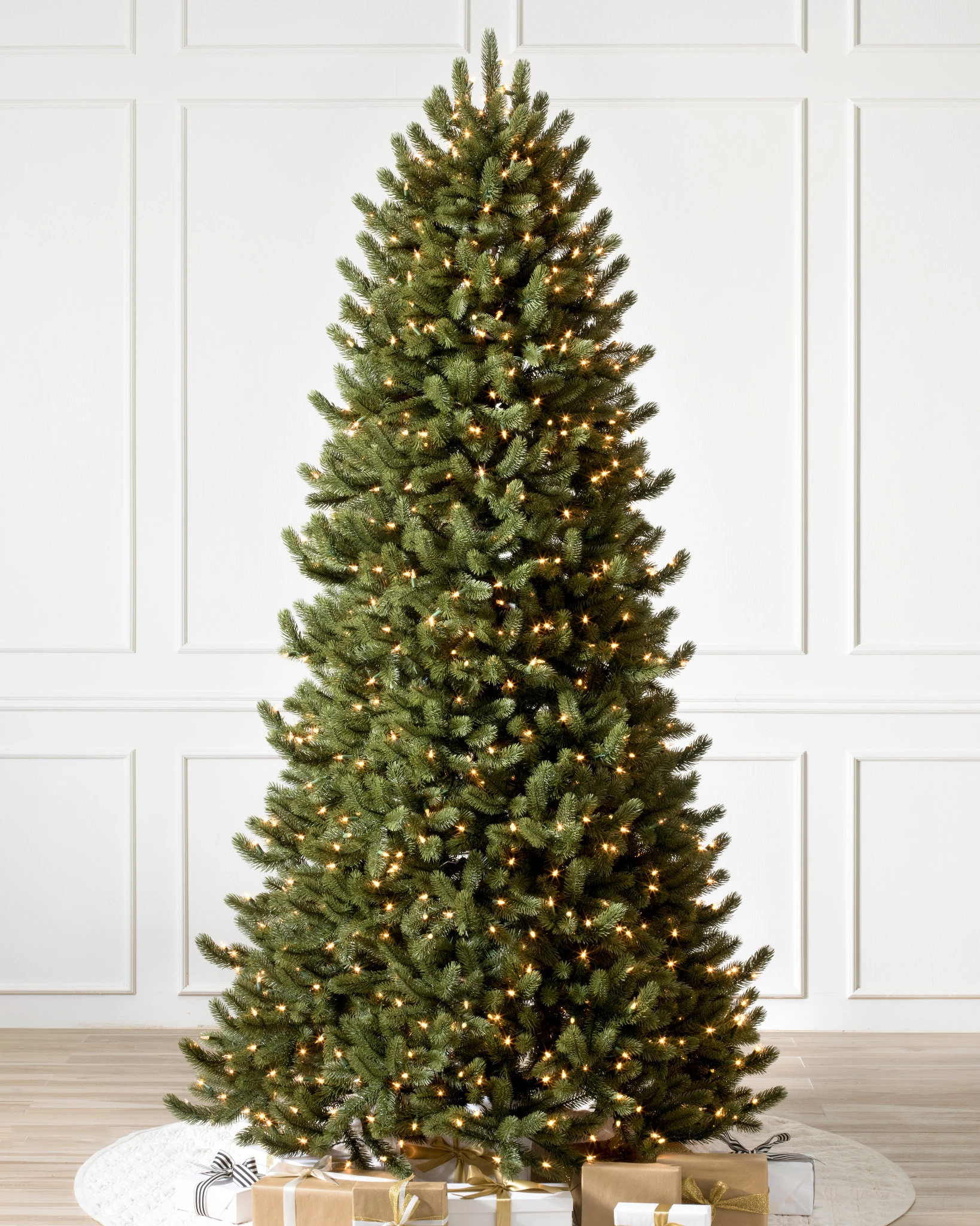 Vermont White Spruce