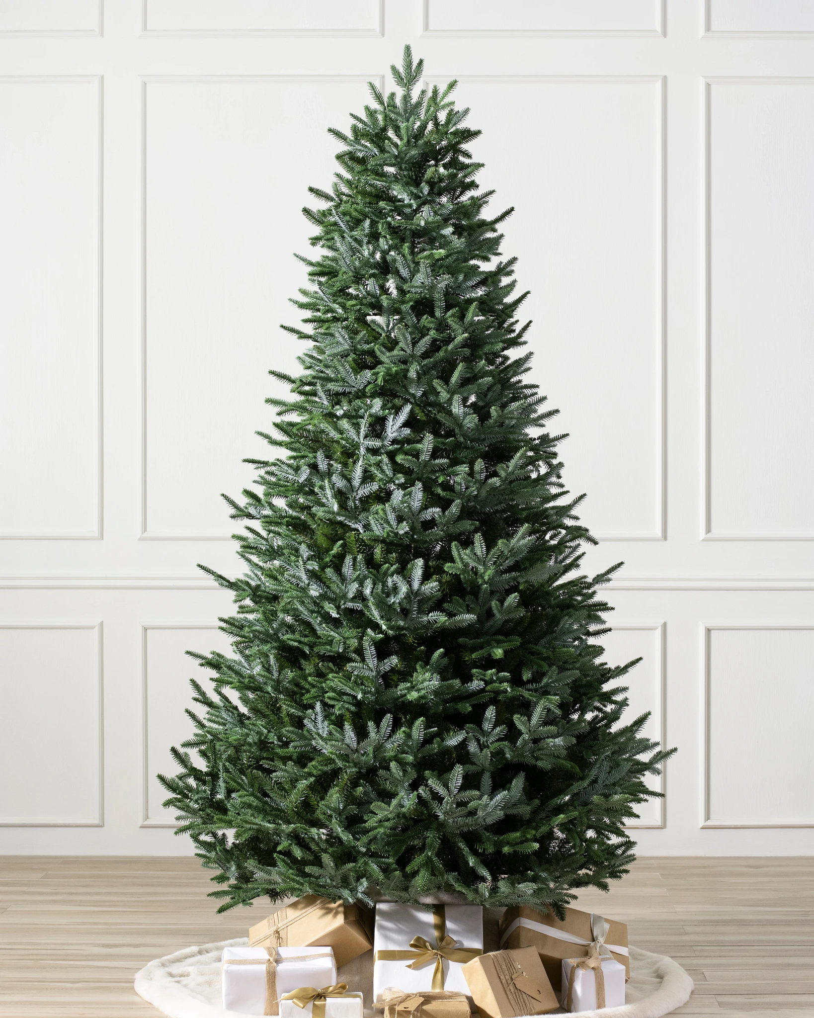 European Silver Fir