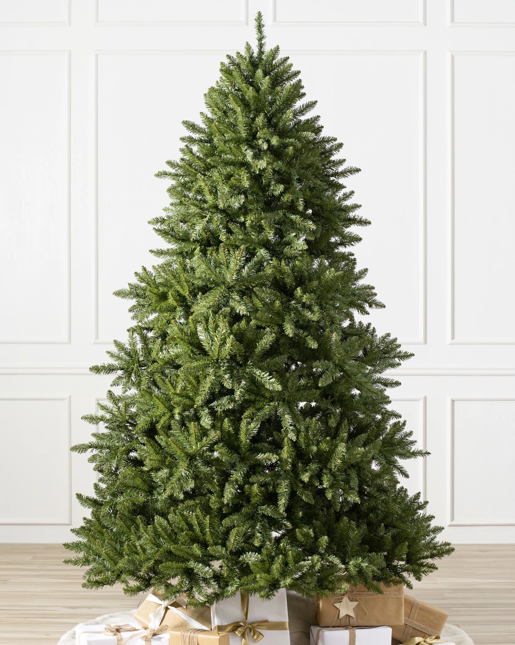 Vancouver Spruce