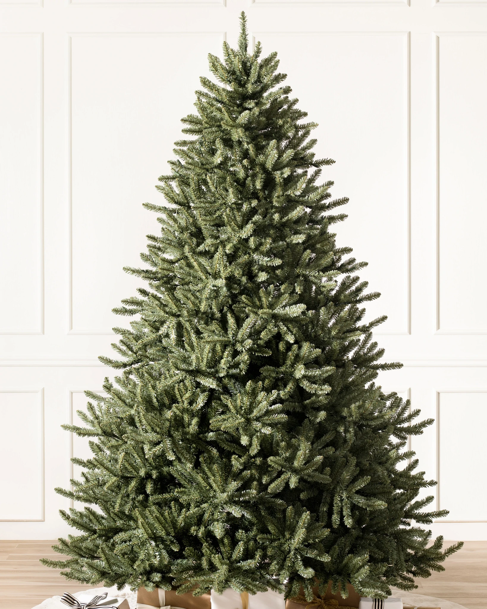 Classic Blue Spruce