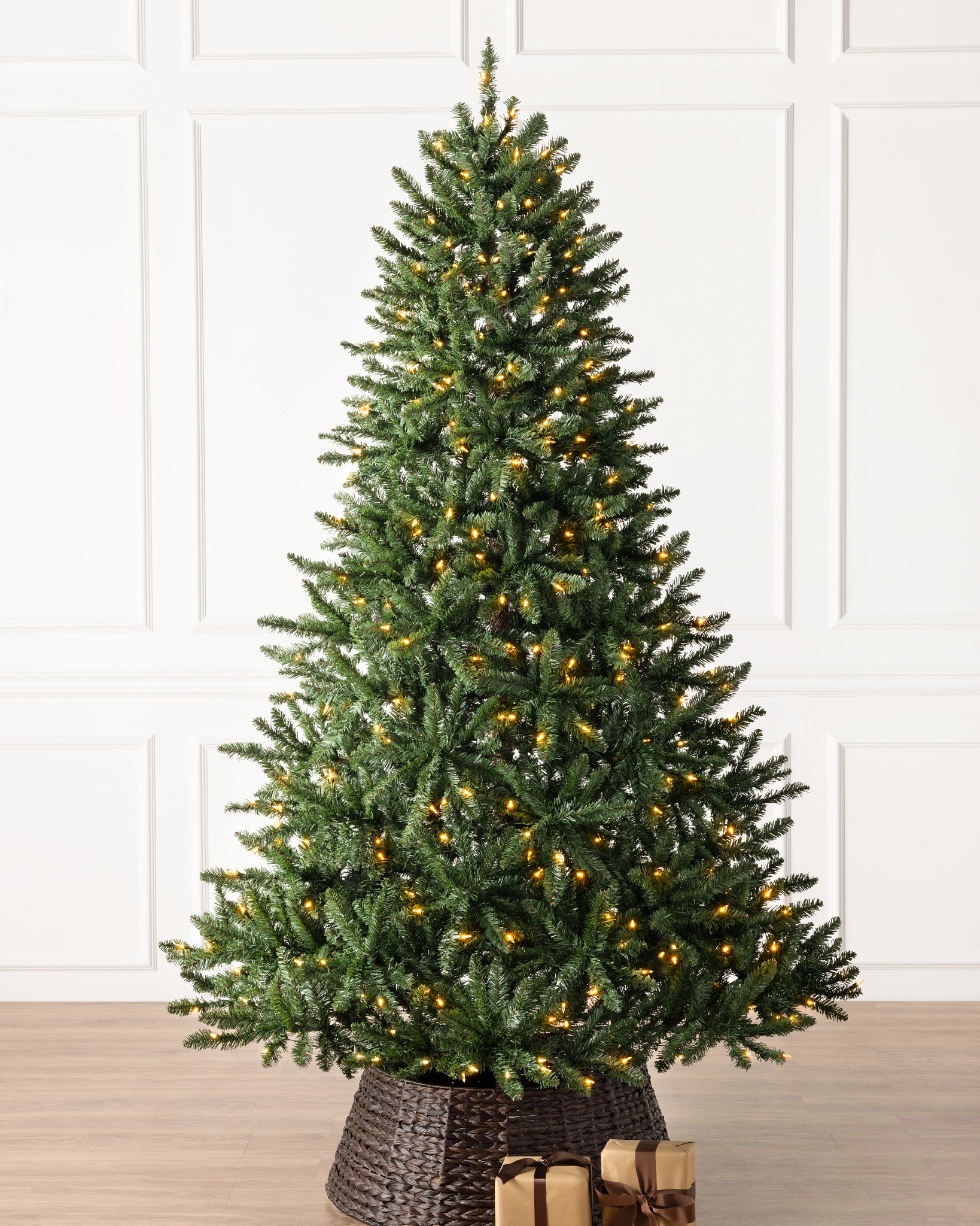 Classic Evergreen Spruce