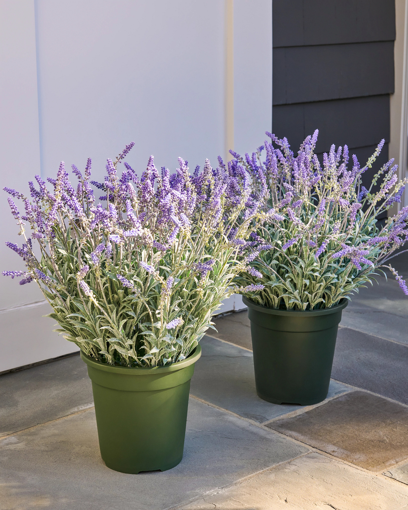 Outdoor Lavender Meadow Pot Filler