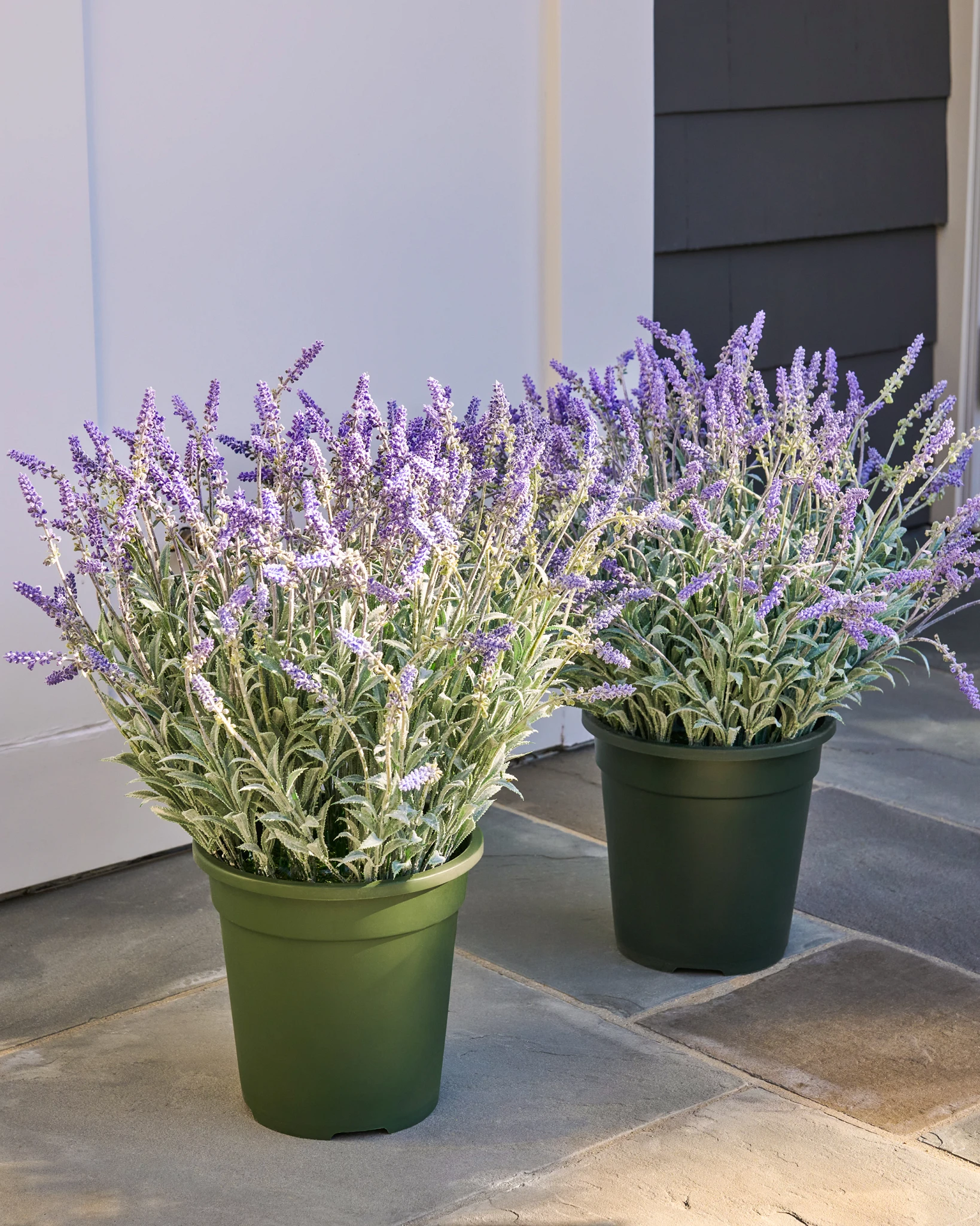 Outdoor Lavender Meadow Pot Filler