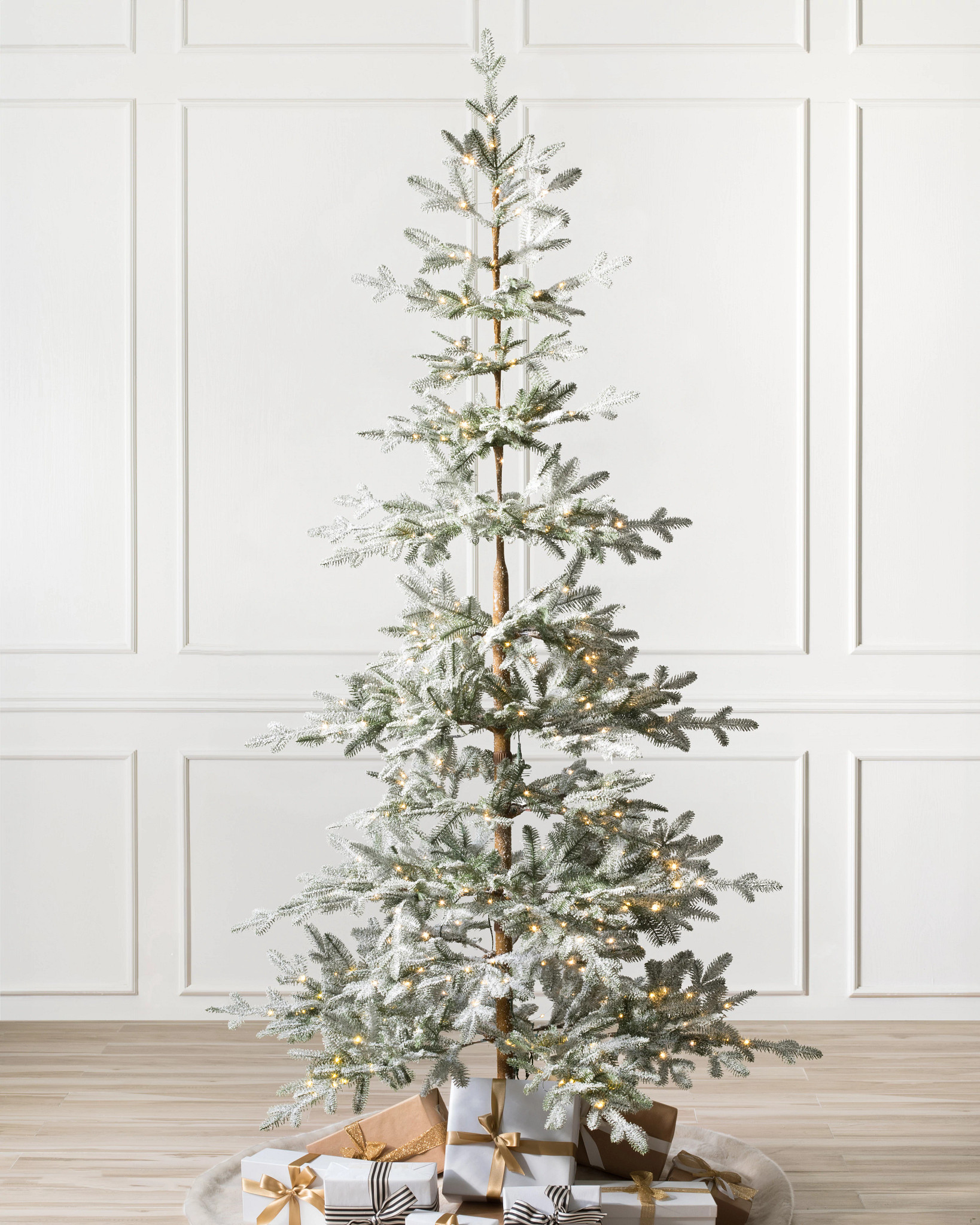 Frosted Alpine Balsam Fir